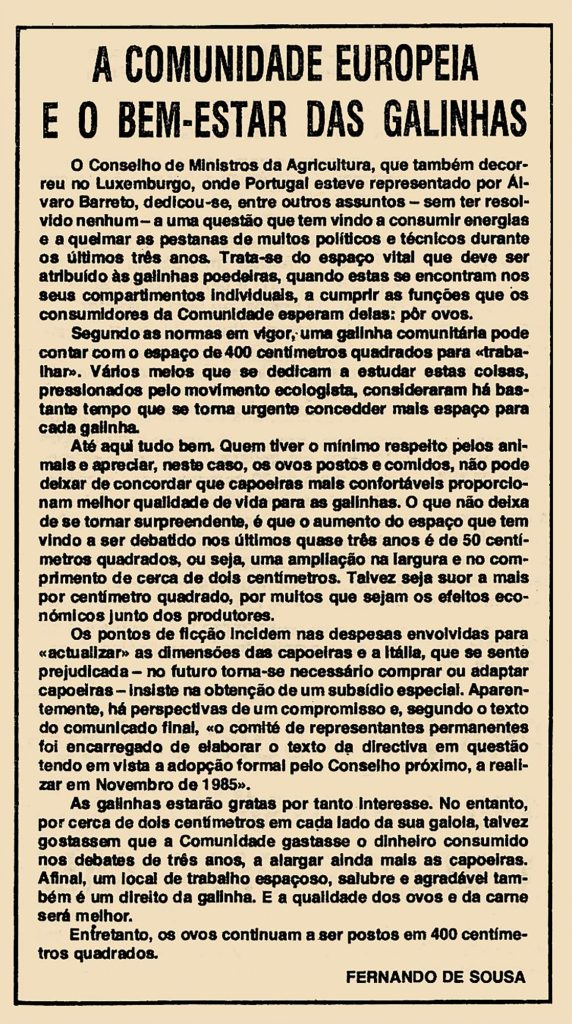 A comunidade europeia e o bem-estar das galinhas